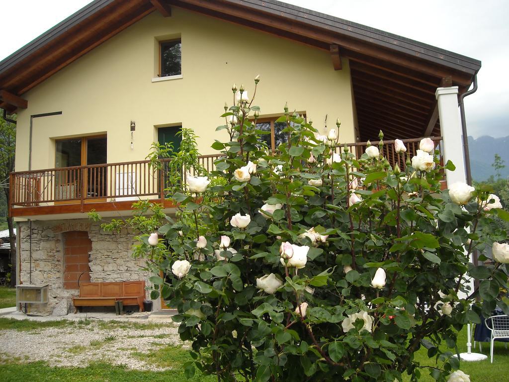 Agriturismo Il Girasole Feltre Eksteriør bilde