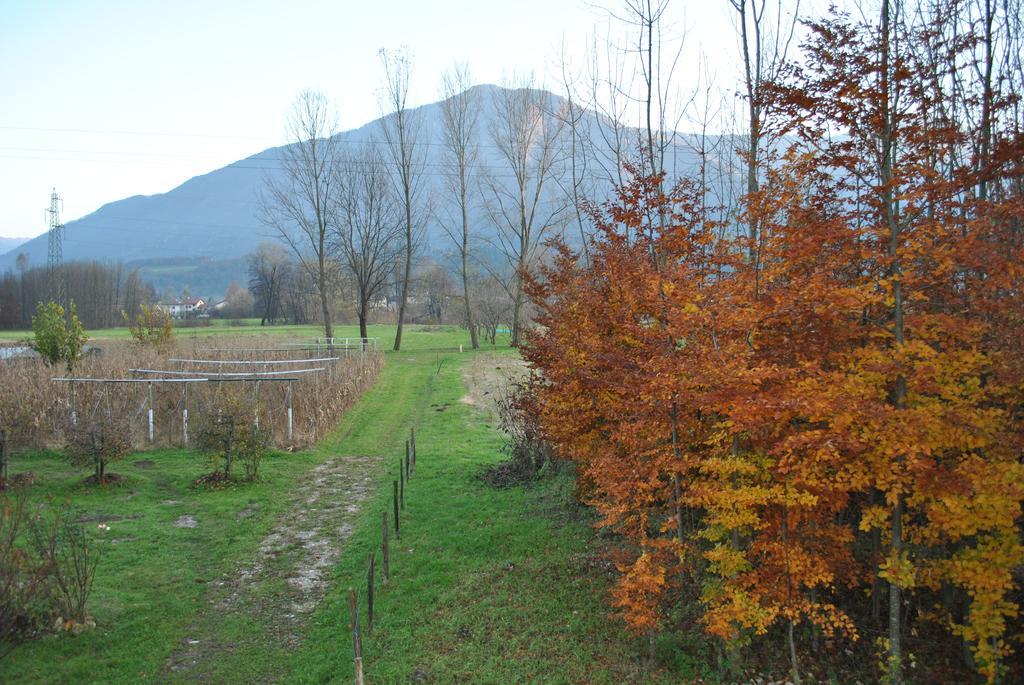 Agriturismo Il Girasole Feltre Eksteriør bilde