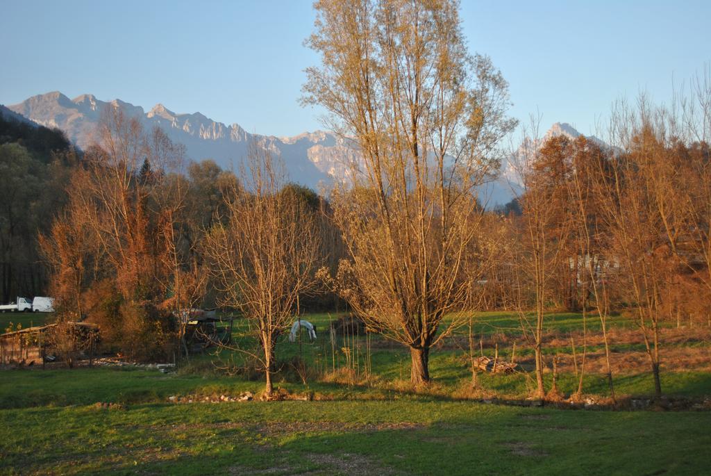Agriturismo Il Girasole Feltre Eksteriør bilde